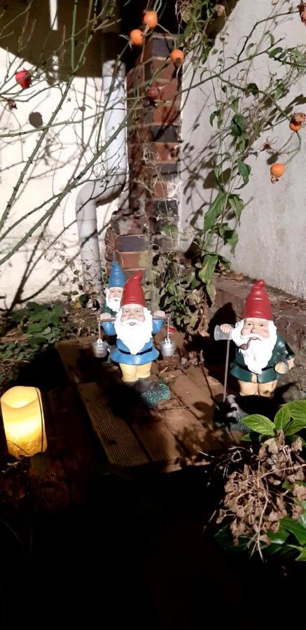 Chez Josie, Gite Independant, Jardin Prive, Calme, Parking Gratuit, Francheville  外观 照片