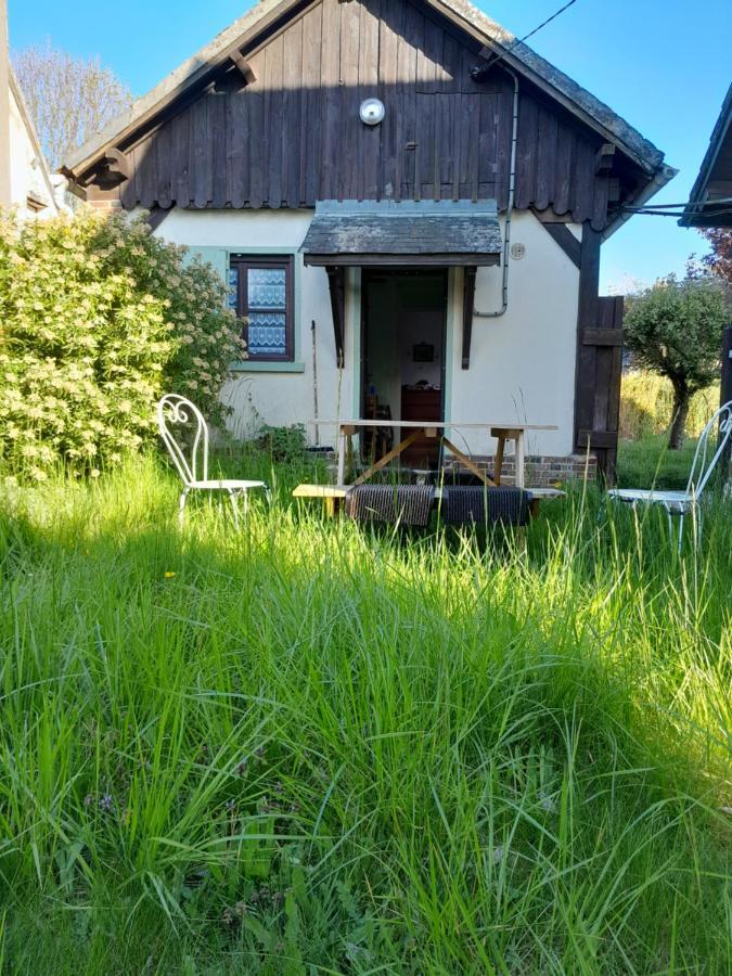 Chez Josie, Gite Independant, Jardin Prive, Calme, Parking Gratuit, Francheville  外观 照片